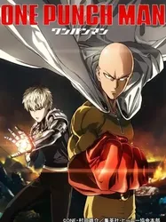 One-Punch Man (One-Punch Man) [2015]